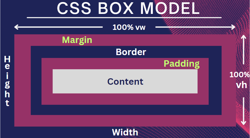 CSS Box Model